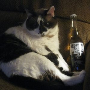 Meet your Posher, Kris